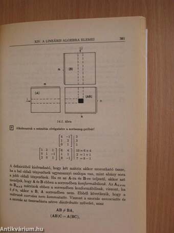 Matematika