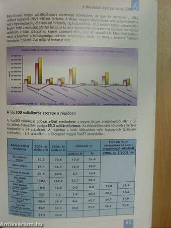 A Dél-Alföldi Régió Gazdasága 2006