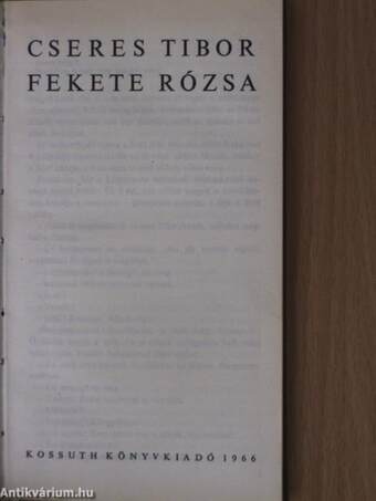 Fekete rózsa