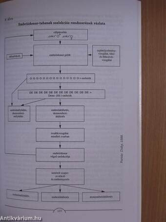 Biotechnológia: lépéstartás Európával