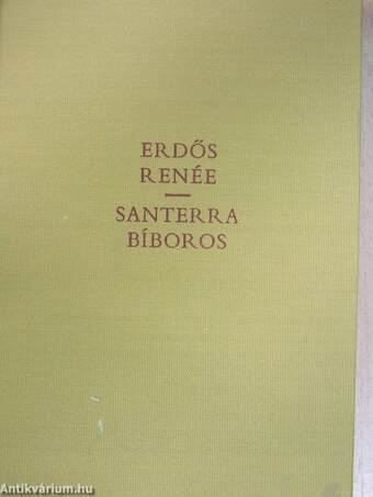 Santerra bíboros