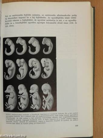 Az emberi test 1-2.