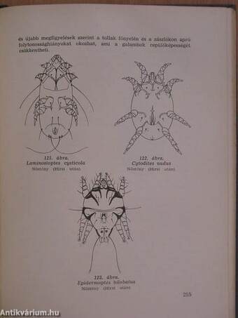 Állatorvosi parazitológiai diagnosztika