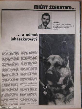 A Kutya 1981-1982. január-december