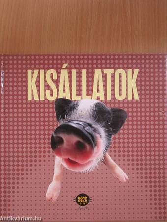 Kisállatok