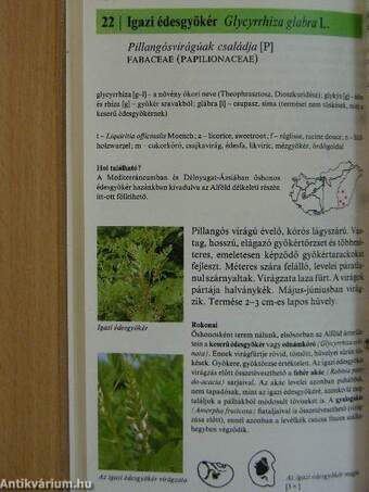 Magyarországi gyógynövények képes enciklopédiája