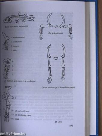 Bolygóvilágunk csodálatos titkai