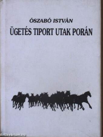 Ügetés tiport utak porán