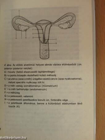 A nő orvosi szemmel