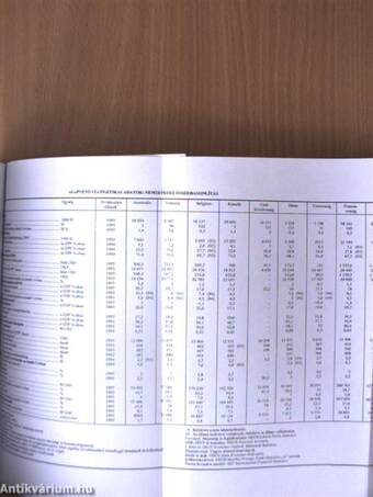 OECD Gazdasági Tanulmányok 1997. június