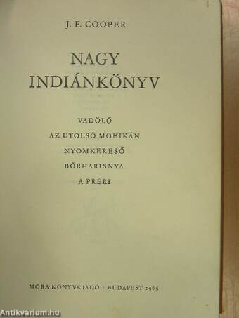 Nagy indiánkönyv