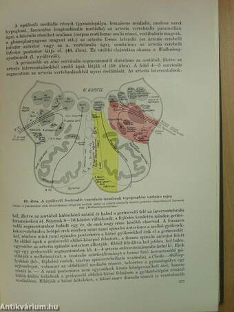 Neurologia