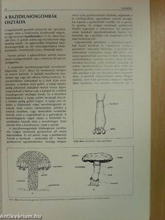 Biológia I.