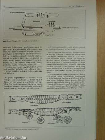 Biológia II.