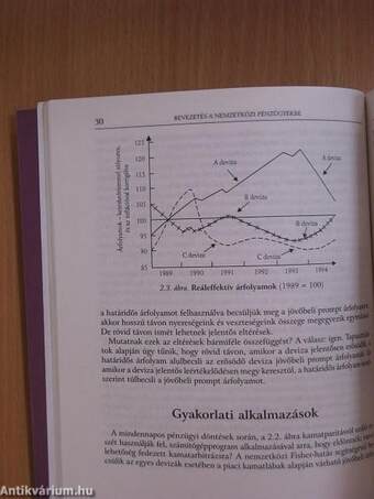 Bevezetés a nemzetközi pénzügyekbe