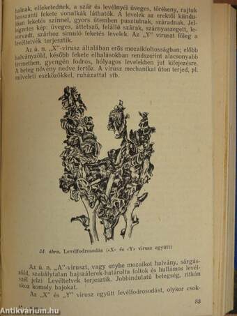 A Földművelési Minisztérium által kiadott mezőgazdasági tájékoztató-oktató anyagok egyedi gyűjteménye az 1950-es évek elejéről