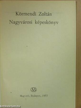 Nagyvárosi képeskönyv