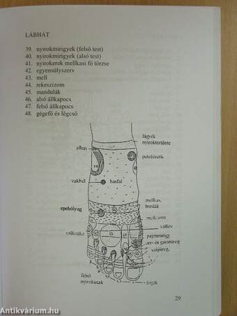 Gyógyulásunk élményét átadjuk