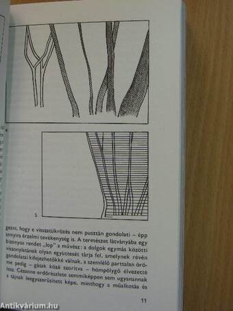 A festészet felfedezése 1-2.