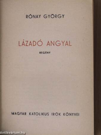 Lázadó angyal