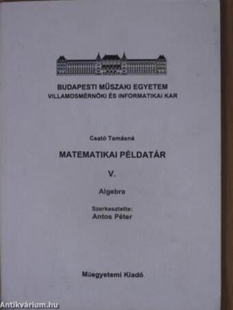 Matematikai példatár V.