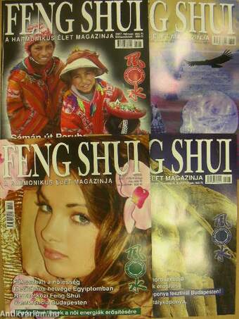 Feng Shui 2007/1-4.