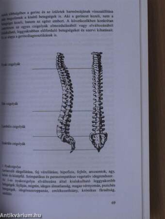 Gyógyító Táltosok nyomában