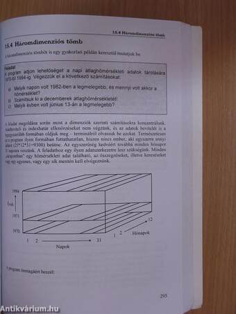 Programozás tankönyv I.