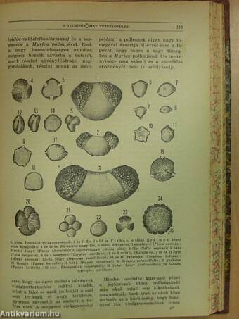 Természettudományi Közlöny 1926. január-december I-II.