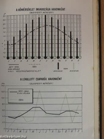 Magyar statisztikai zsebkönyv 1965.