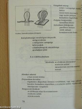 Interdiszciplináris diagnosztika