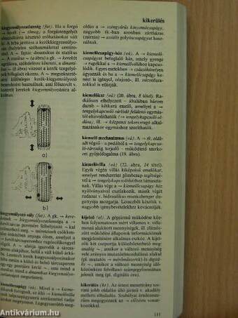 Autós minilexikon és tíznyelvű szakszótár