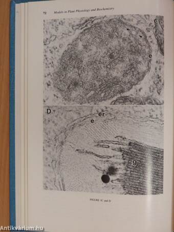 Models in plant physiology and biochemistry I-III.