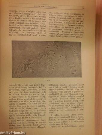 Természettudományi Közlöny 1927. január-december/Pótfüzetek a Természettudományi Közlönyhöz 1927. január-december