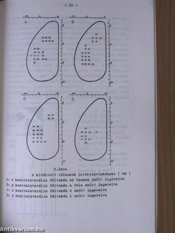 Bajúszszőrök agykérgi reprezentációjának vizsgálata patkányon