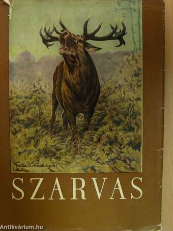 Szarvas