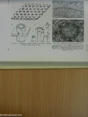 Biologia