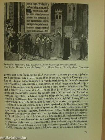 Anyagi kultúra, gazdaság és kapitalizmus XV-XVIII. század