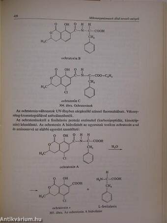 Az élelmiszerkémia alapjai