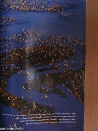 National Geographic Magyarország 2004. április