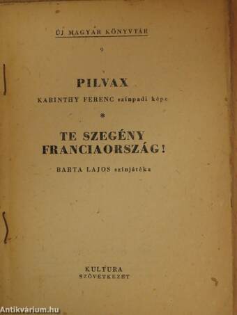 Pilvax/Te szegény Franciaország!