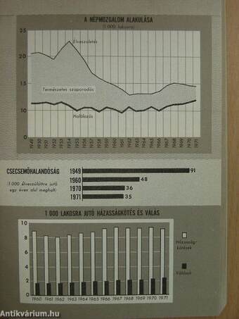 Magyar statisztikai zsebkönyv 1972.