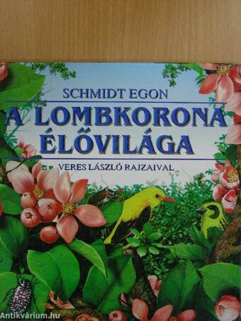 A lombkorona élővilága