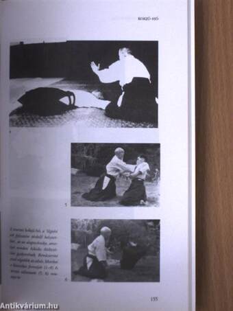 Az Aikido esszenciája