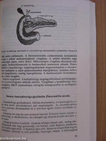 Klinikai ismeretek a belgyógyászat köréből ápolónők részére