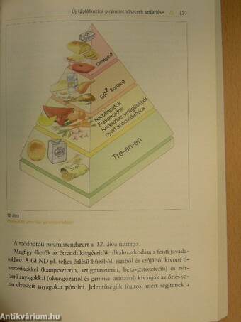 Korszerű piramisrendszerek az egészséges táplálkozáshoz és életmódváltáshoz