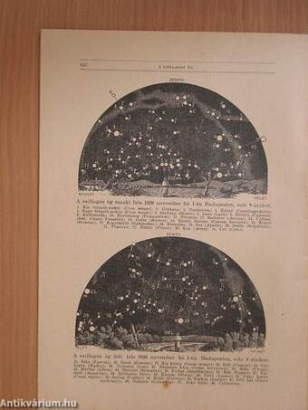 Természettudományi Közlöny 1929. október 15.