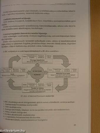 A controlling elmélete és gyakorlata