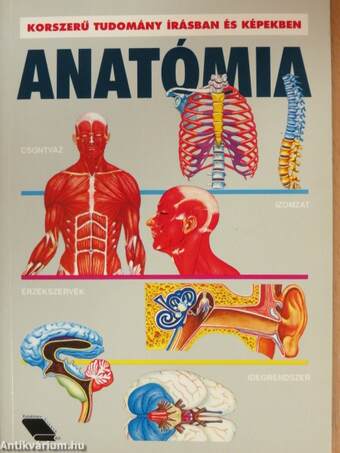 Anatómia