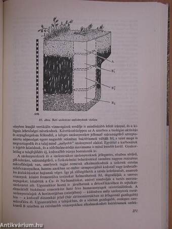 Az általános talajtan biológiai alapjai